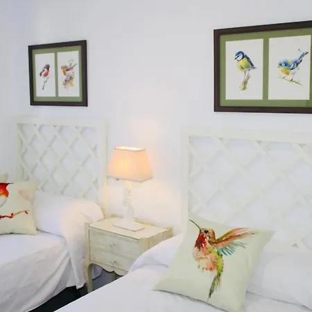 Nuevo En Pleno Centro Apartamento Córdoba